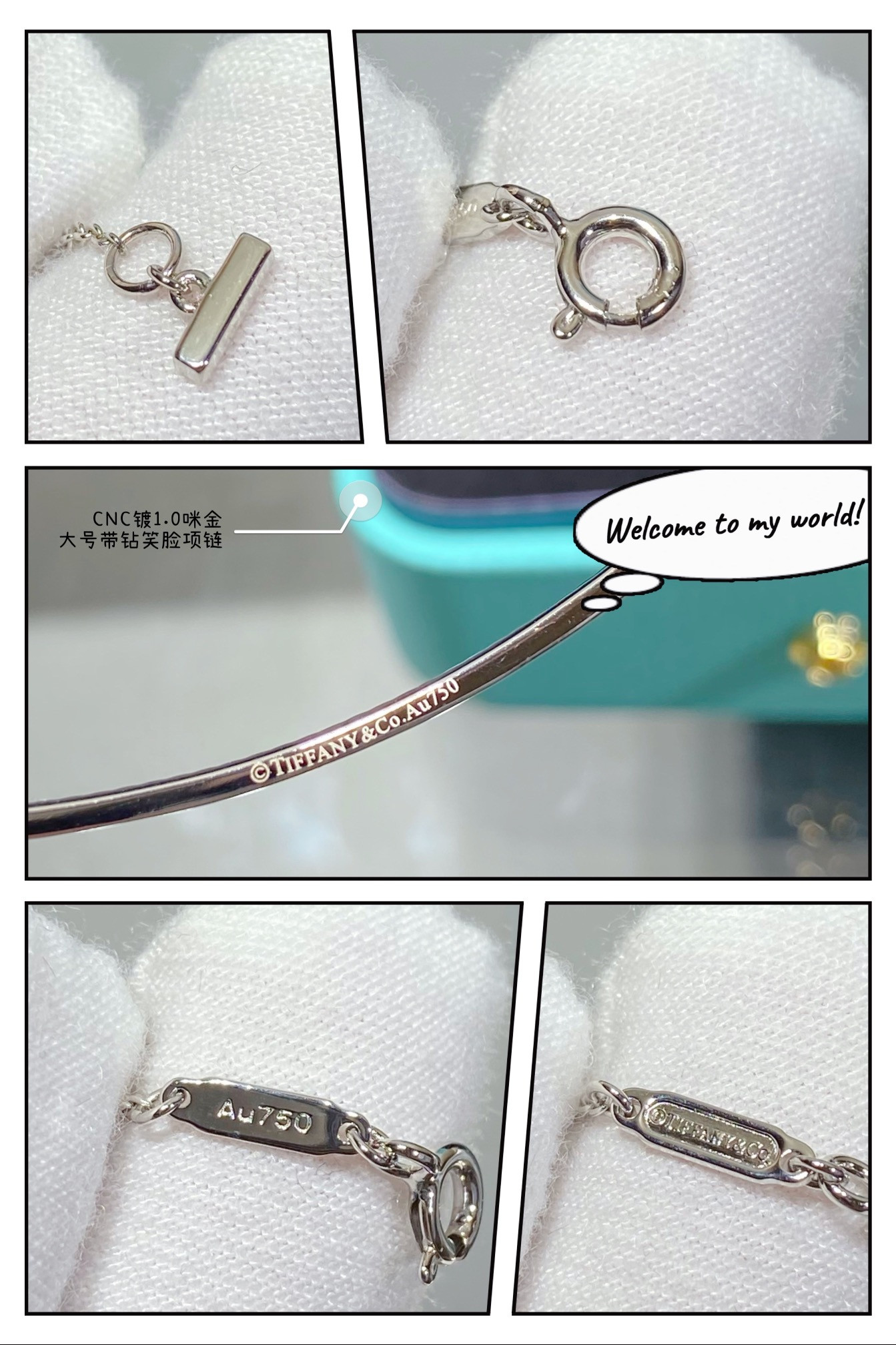 t*f*ny & co. large smile with Di*m*nd necklace