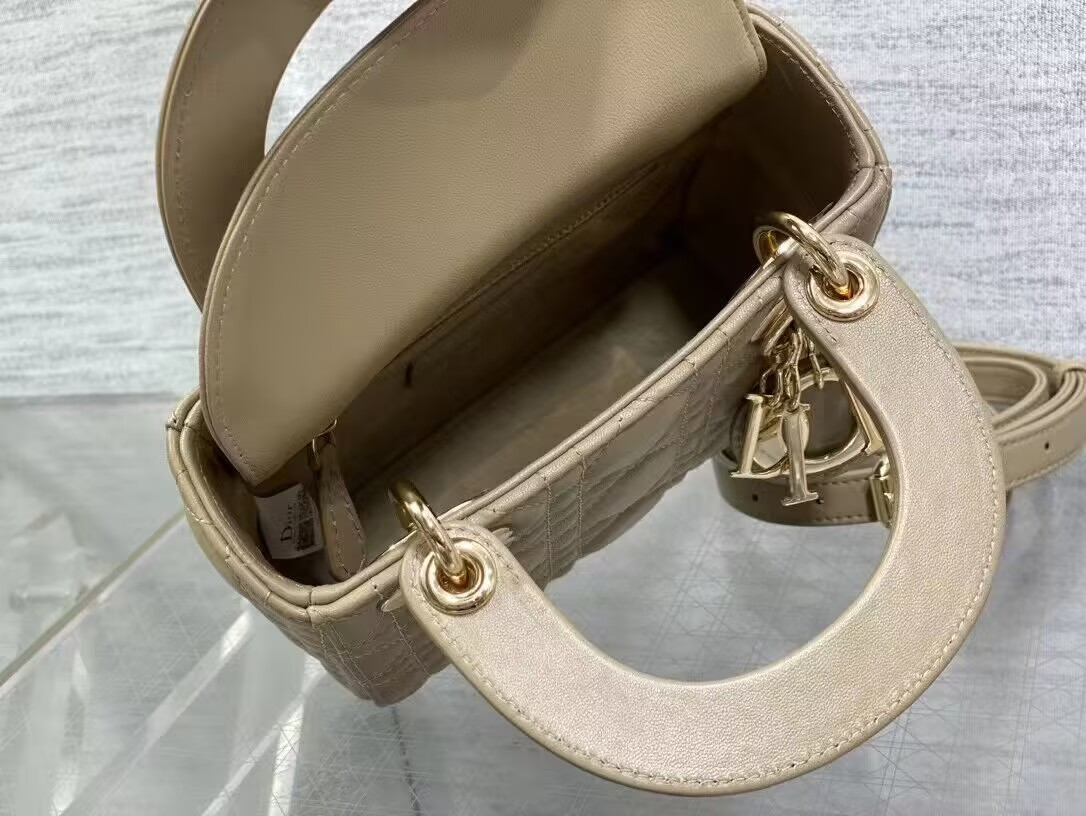 mini lady D*or bag 17x7x15cm