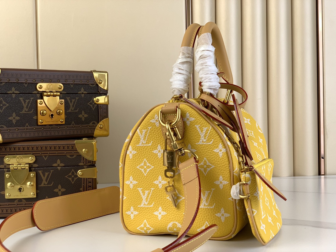 LV SPEEDY BANDOULIÈRE25 M24426