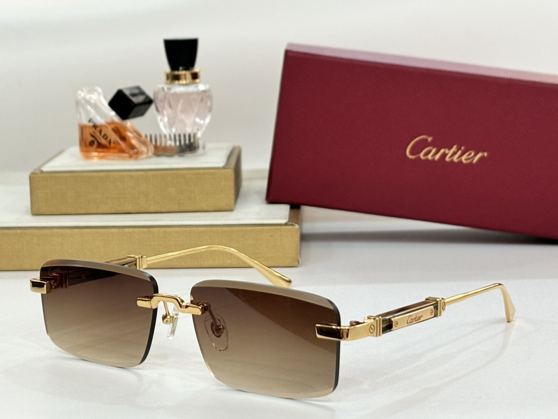 Ca*t*er glasses ct0630